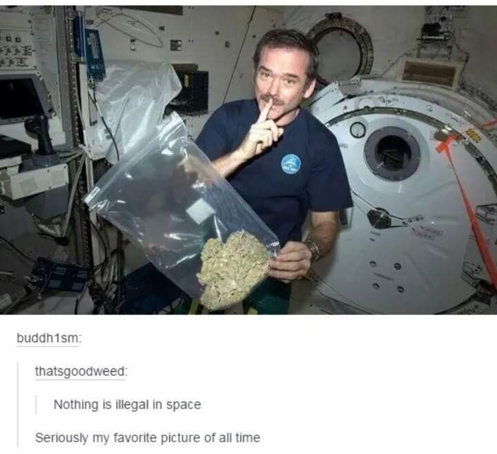 Nothing is illegal in space