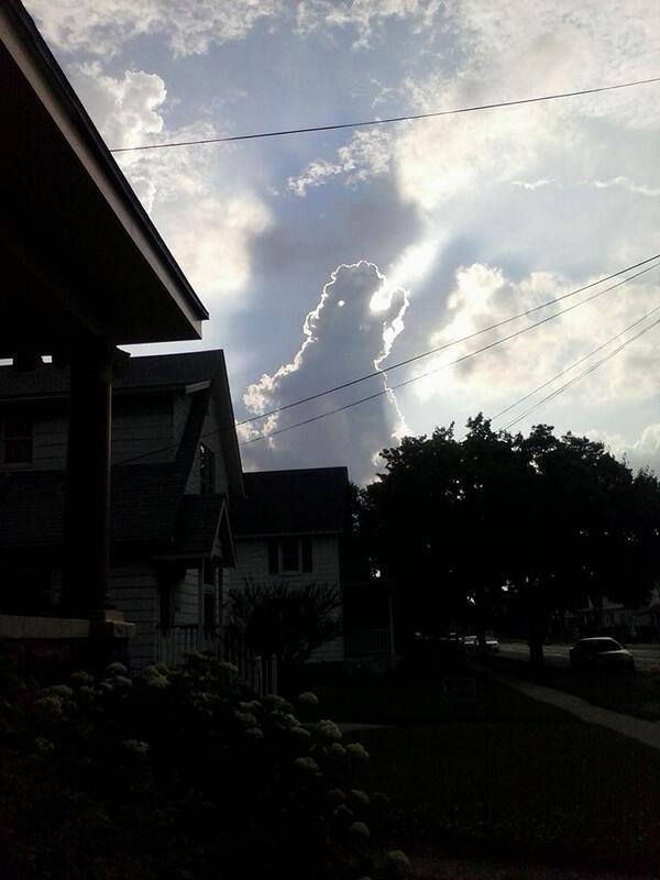 Godzilla is that you?