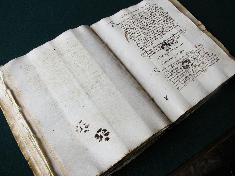 Cats, being ***s since the 15th century.