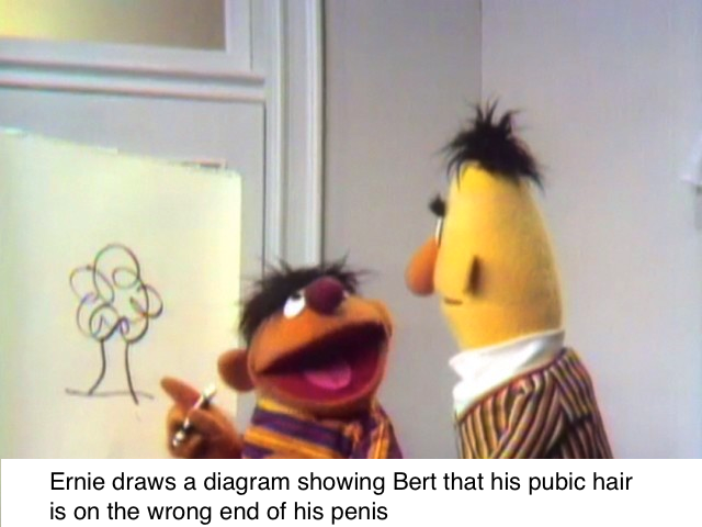 That's some seriously funky bush, Bert