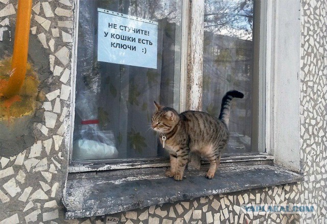 "Please don't knock- the cat's got a key :)"