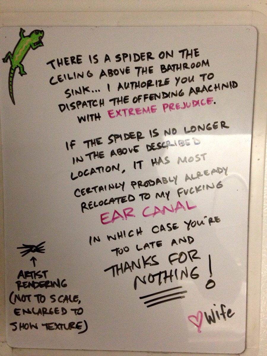 There is a spider above the sink