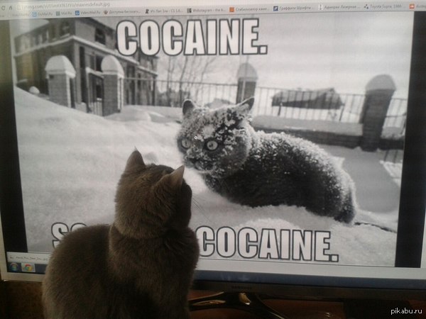 Cocaine