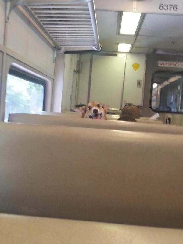 Girl on this train was givin' me eyes the whole ride