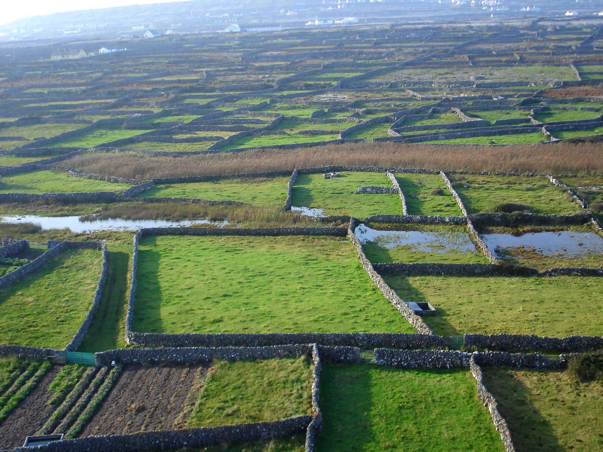 Stone walls in Ireland