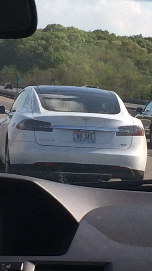 Tesla driver from America
