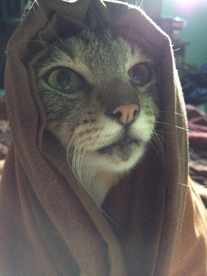 These sands are cold, but Khajiit feels the warmth of your pesence