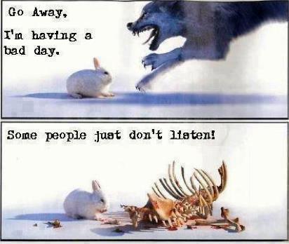 Don't piss off that bunny y'all!