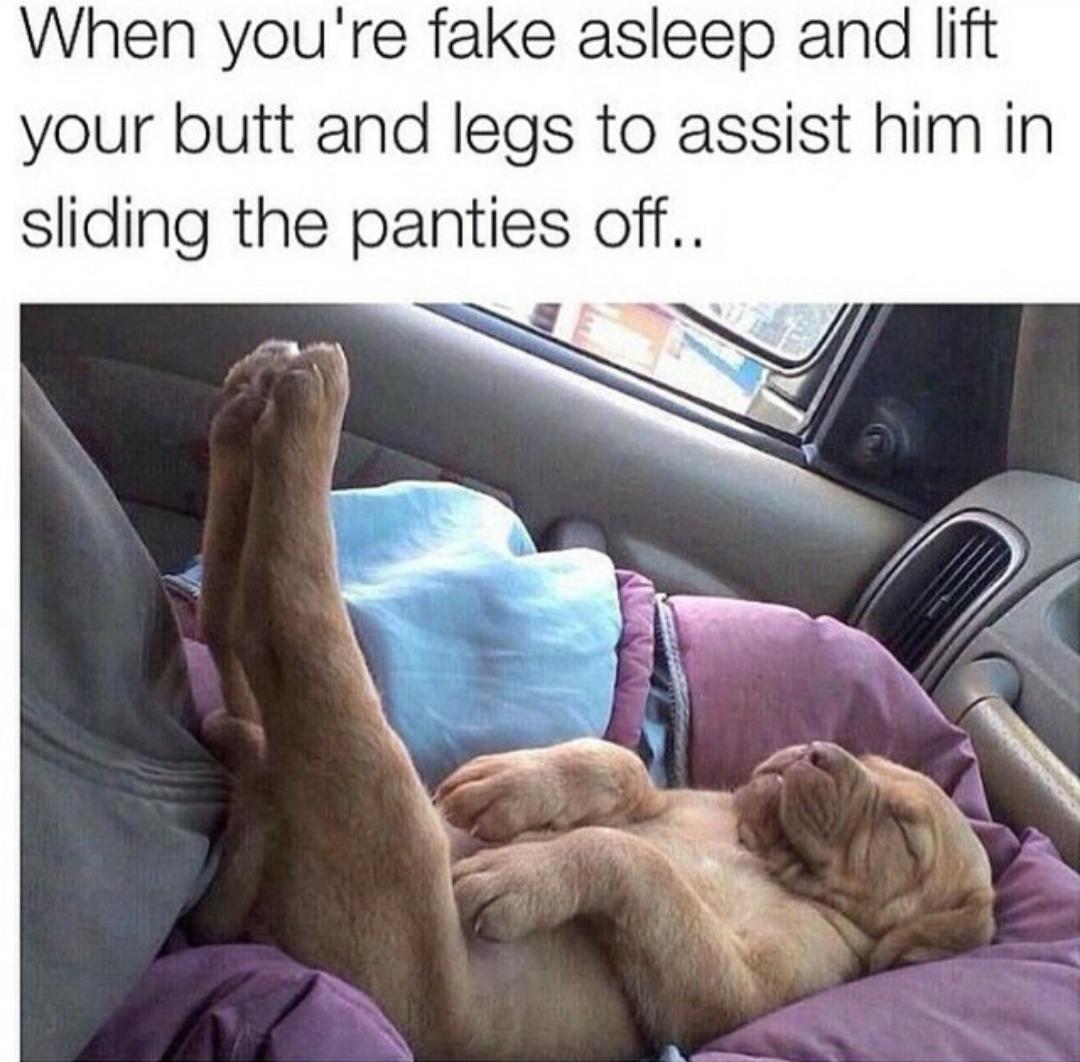 Morning sex is the best though