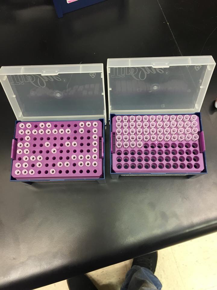 There are two types of scientists in this world.