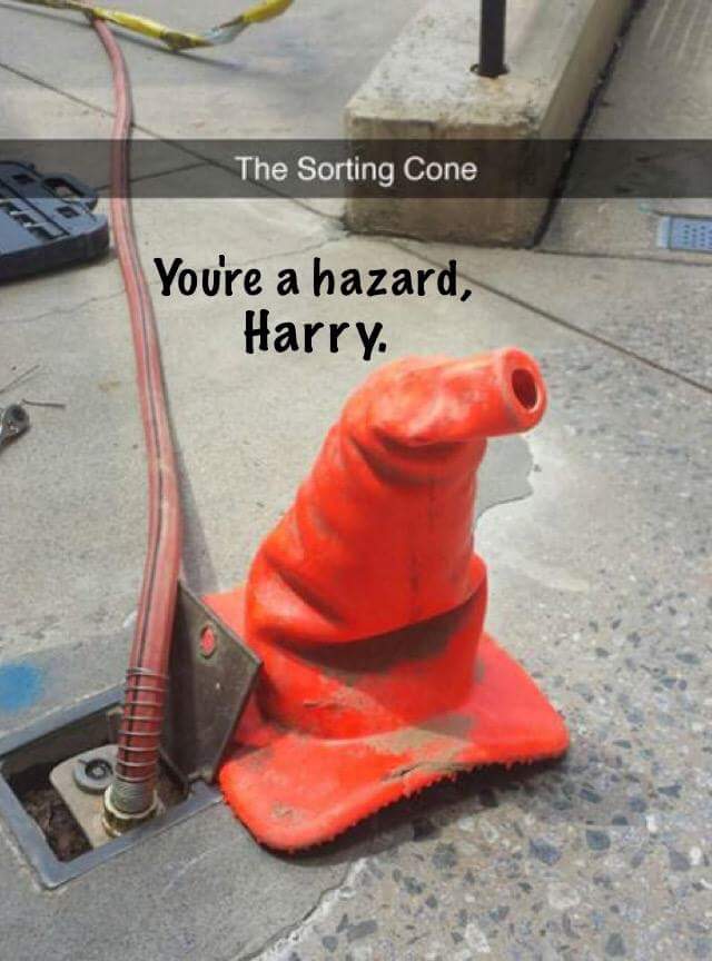 The sorting cone knows best