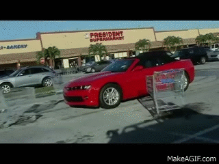Tired of your defenseless car being attacked by feral shopping carts?