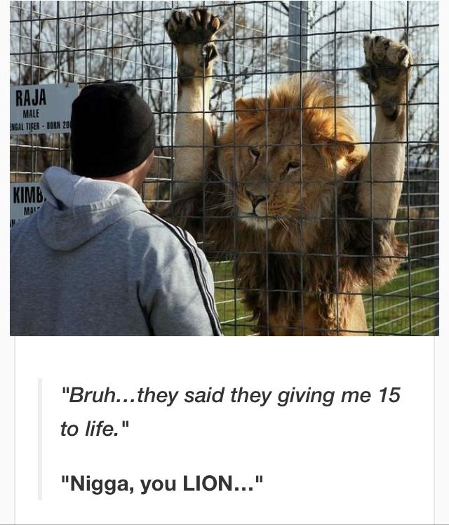 From "king of the jungle" to "king of the prison"