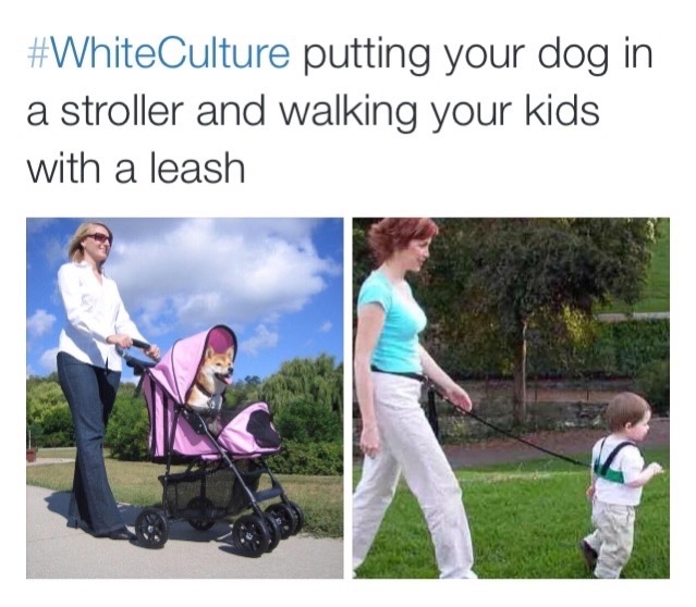 White Culture