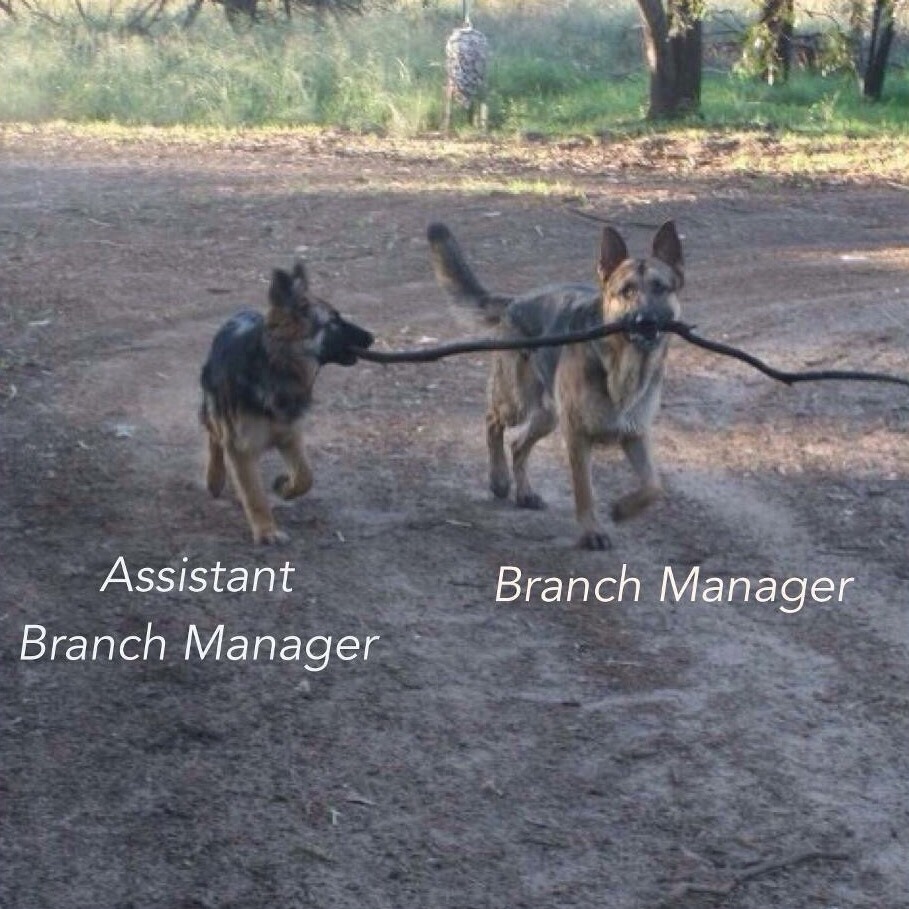 Branch Manager and assistant.
