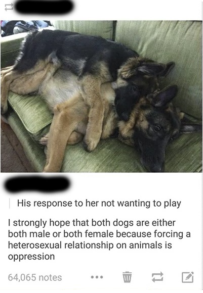 "Because forcing a heterosexual relationship on animals is oppression"