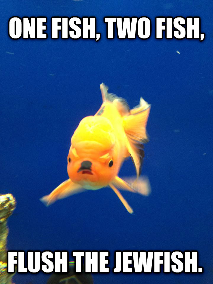 Angry Hitler Goldfish