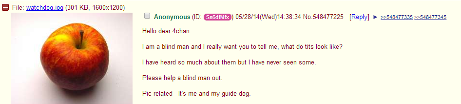 watchdog