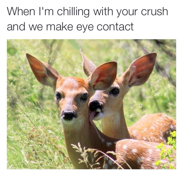 Chillin with yo crush