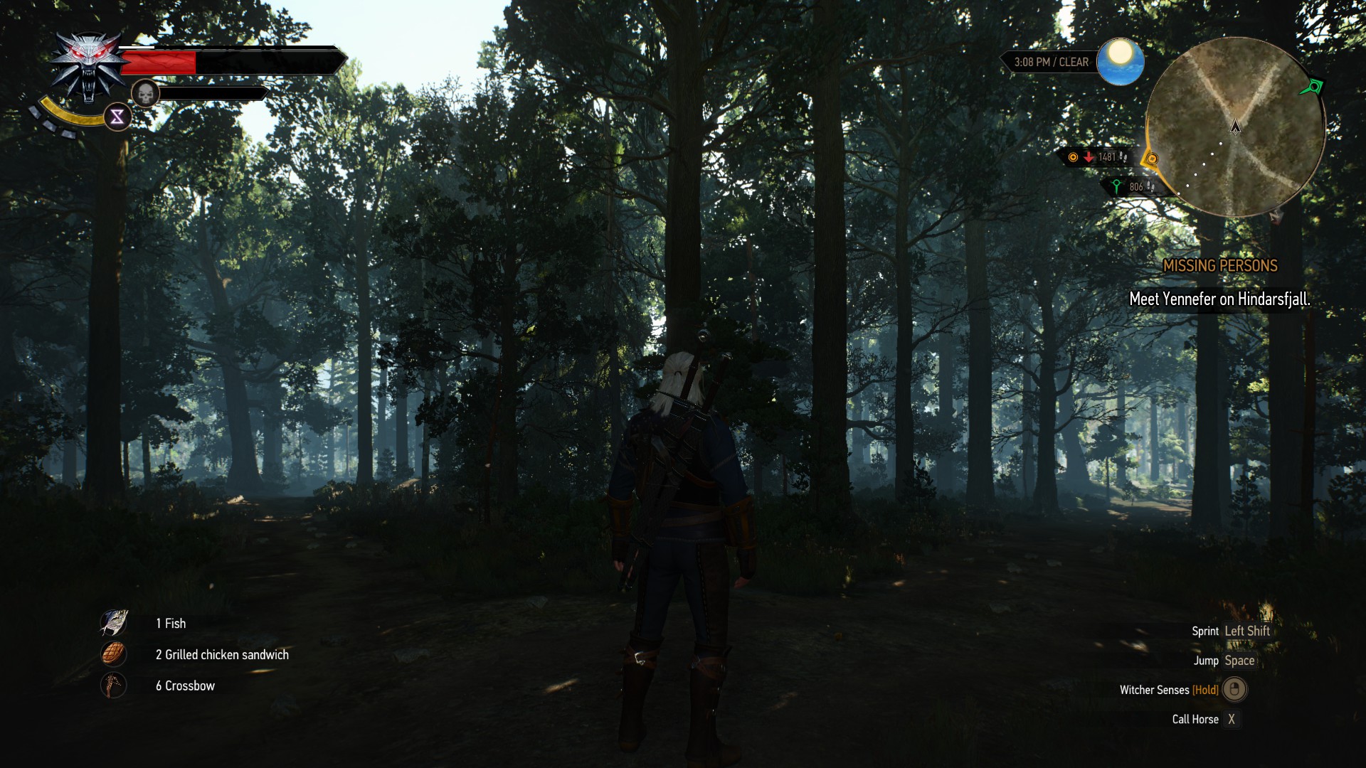 The Witcher 3 is the first game where you actually feel like you're in a forest