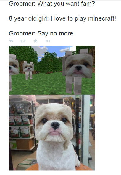 groomer has it