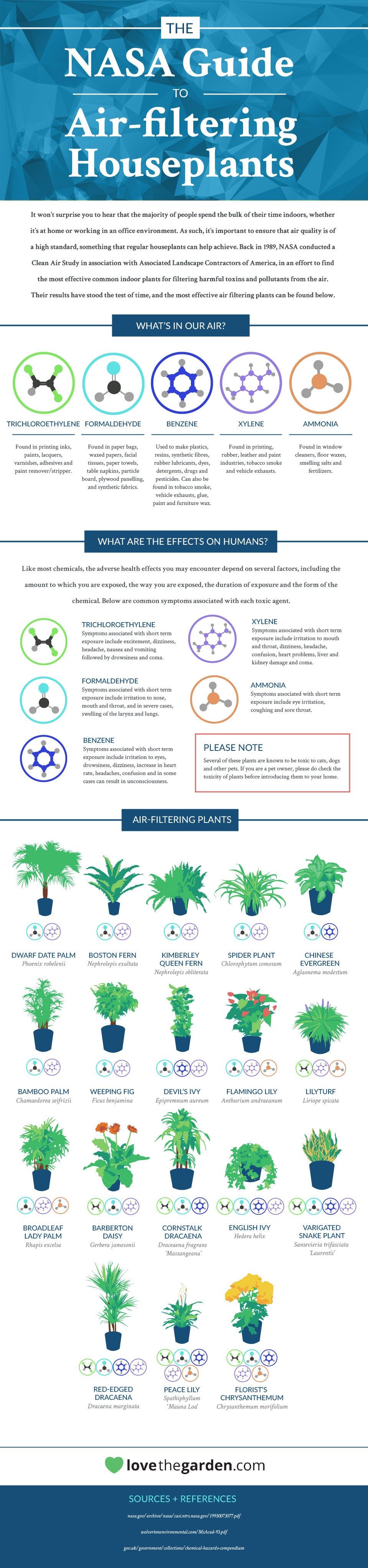 NASAâ€™s guide to the best air-filtering plants to have in your home