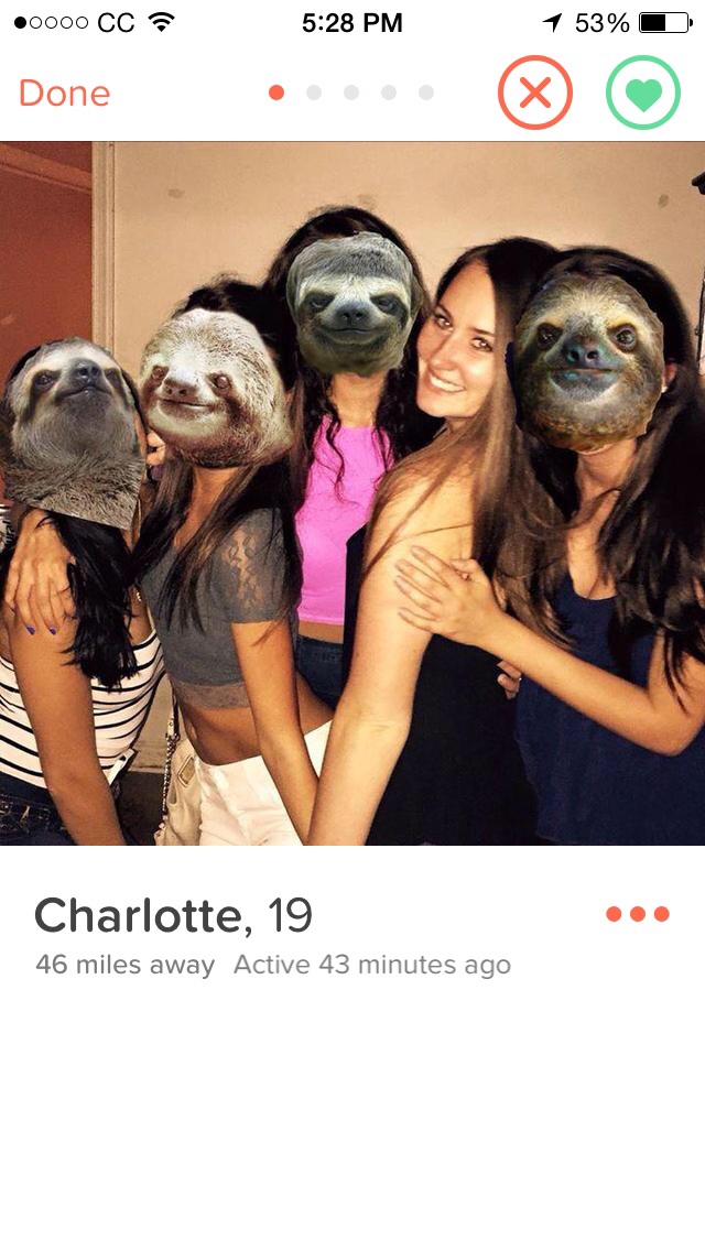 This is how every group photo should be handled on tinder.