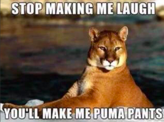 I'll Puma pants!