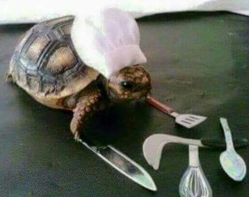 Slow cooker