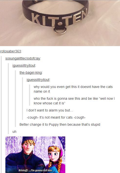 kitten collar