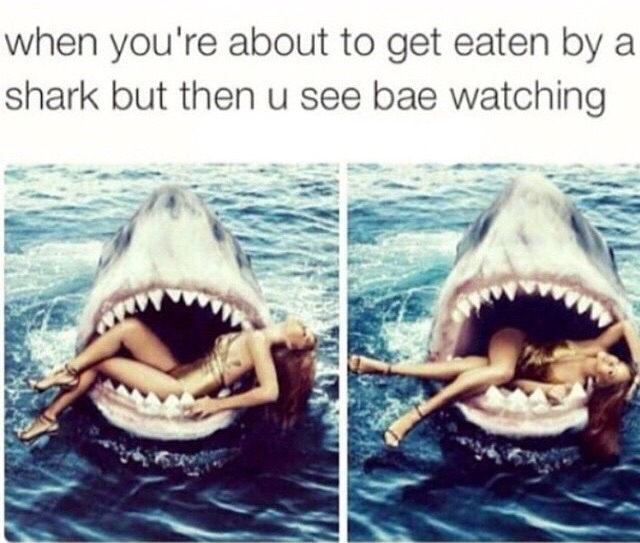 When you're about to be eaten by a shark...