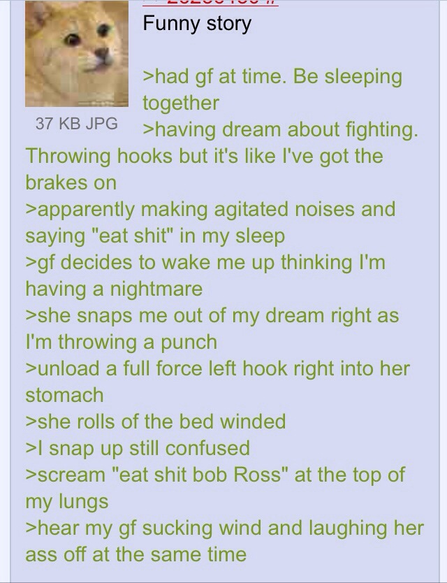 eat shit bob ross
