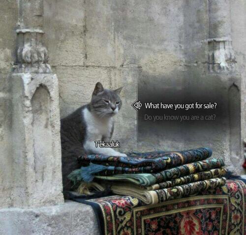 Khajiit has wares if you have the coin
