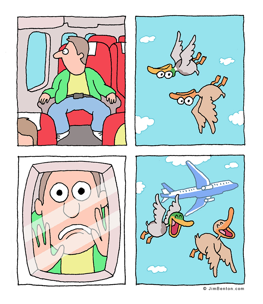 the flight