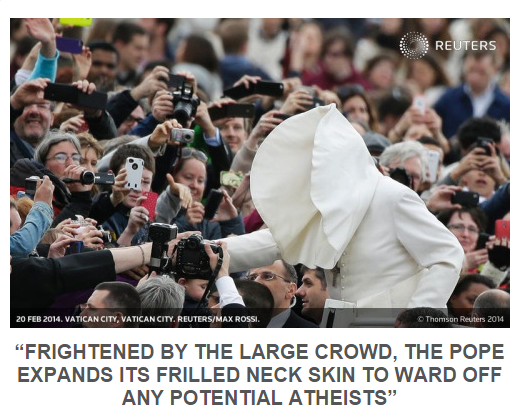 The Pope: Unearthed