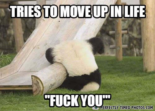 my attempts to achieve in life