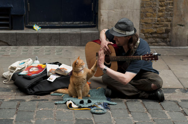 Gimme five human!