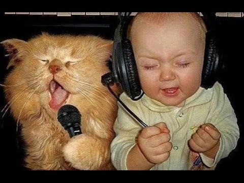 funny baby and cat