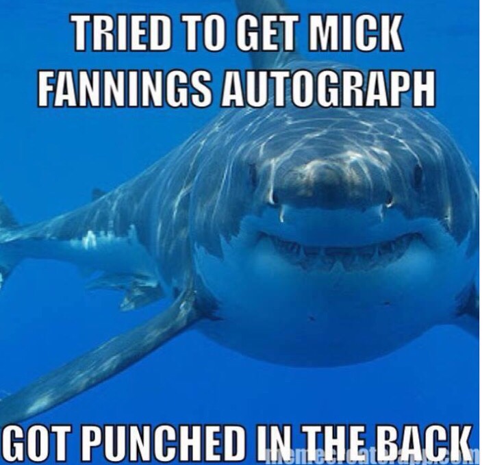 Poor shark. He was so misunderstood.