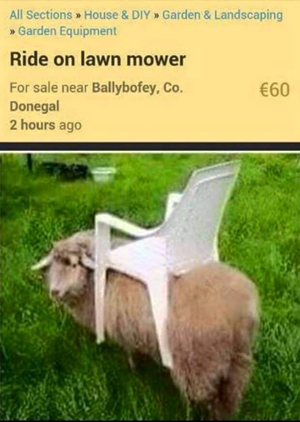 Ride on lawn mower for sale