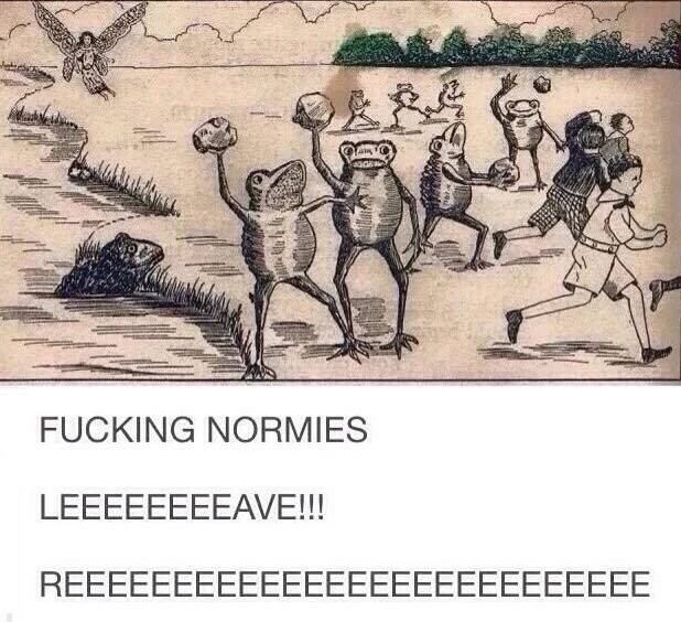 ***ing normies