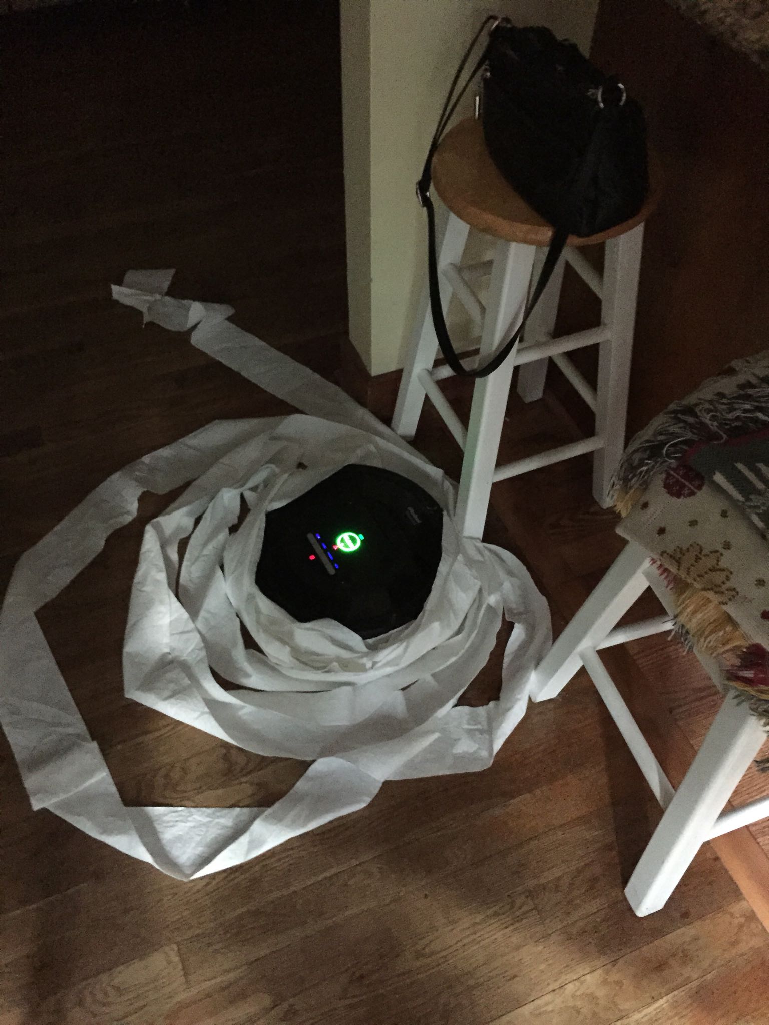 Mischievous Roomba this morning...