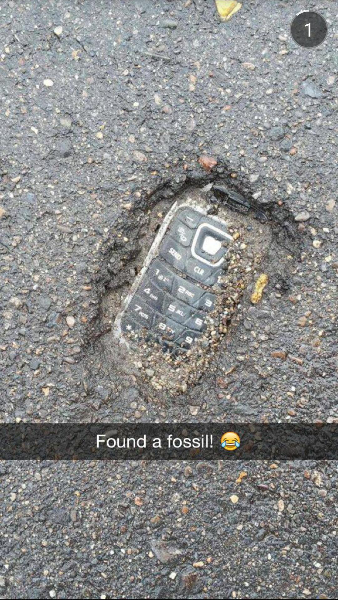 Found a fossil!