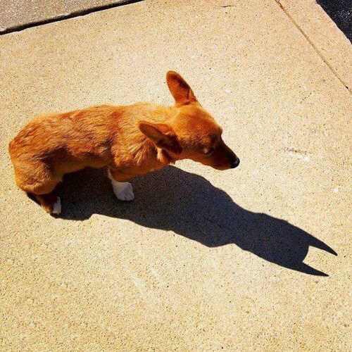 By day he is Bruce, but by night...