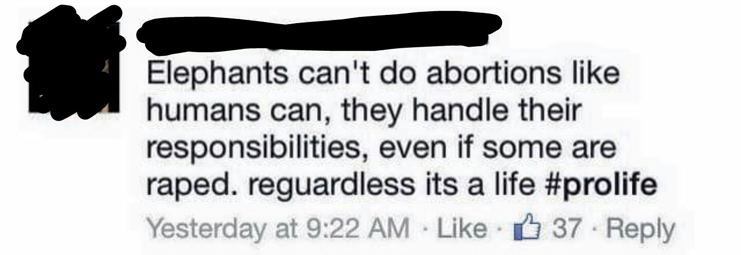 "Elephants can't do abortions."