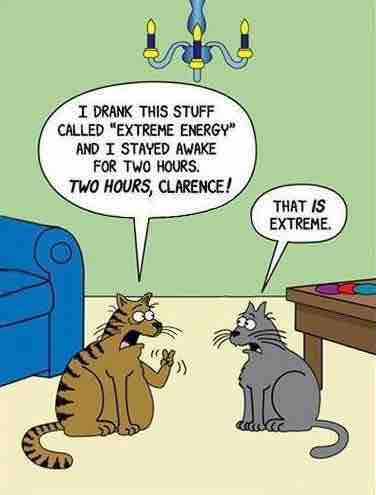 Cat Energy!