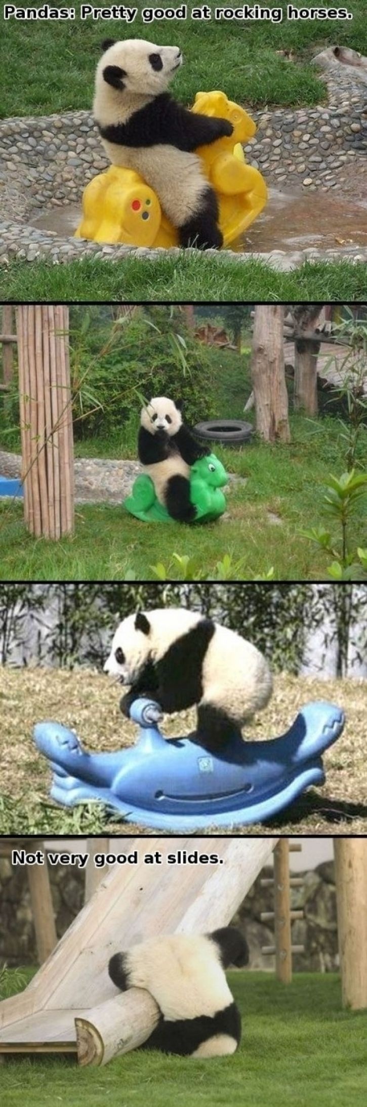 White, black and asian..pandas