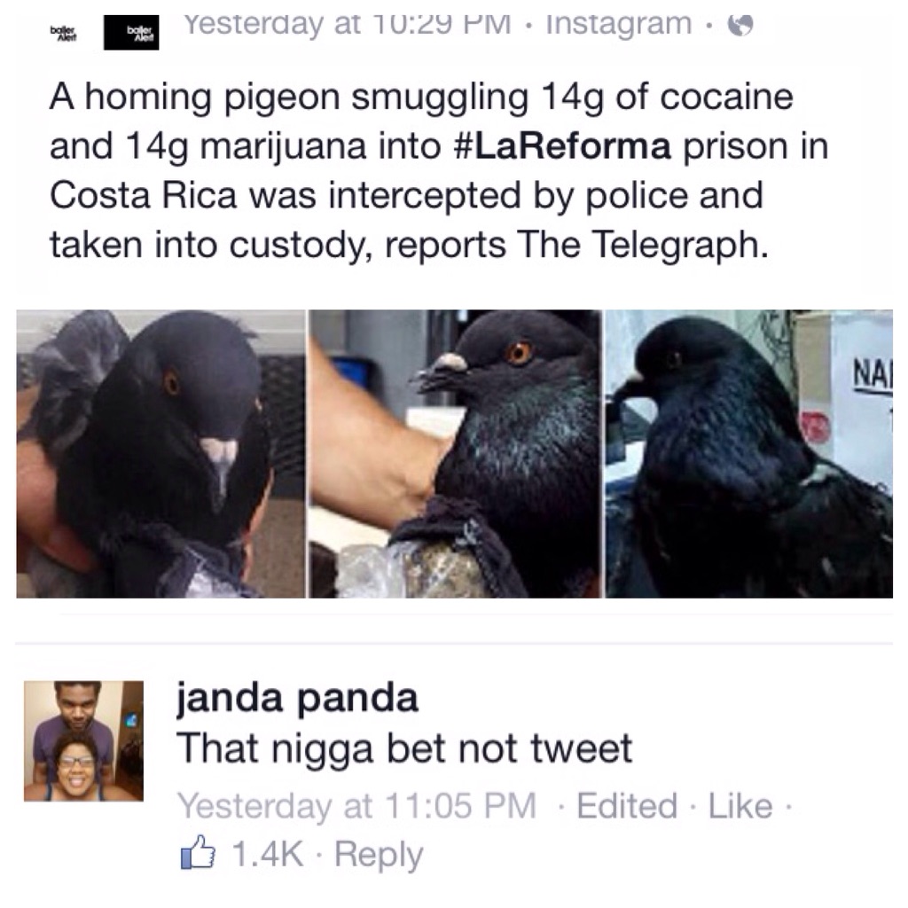 #FreeTweeto