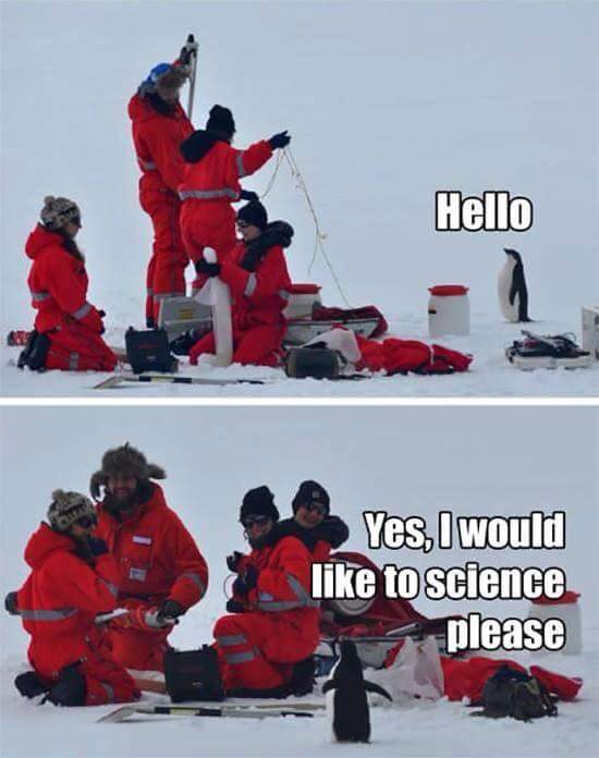 One science please
