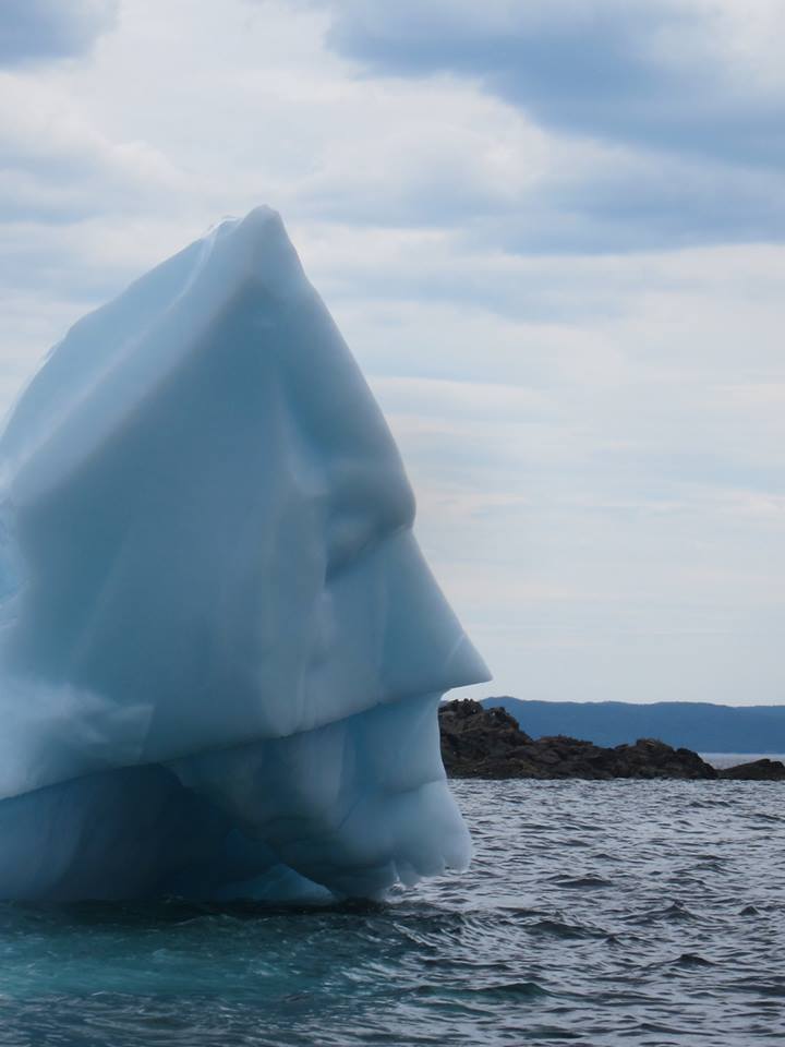 This iceberg's parents melted, so now it fights global warming